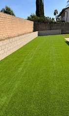 Artificial turf in side yard