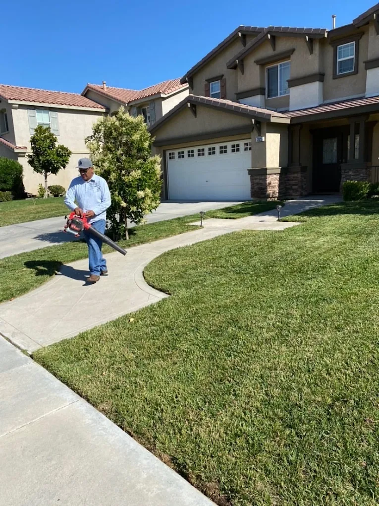 Professional lawn cleanup services