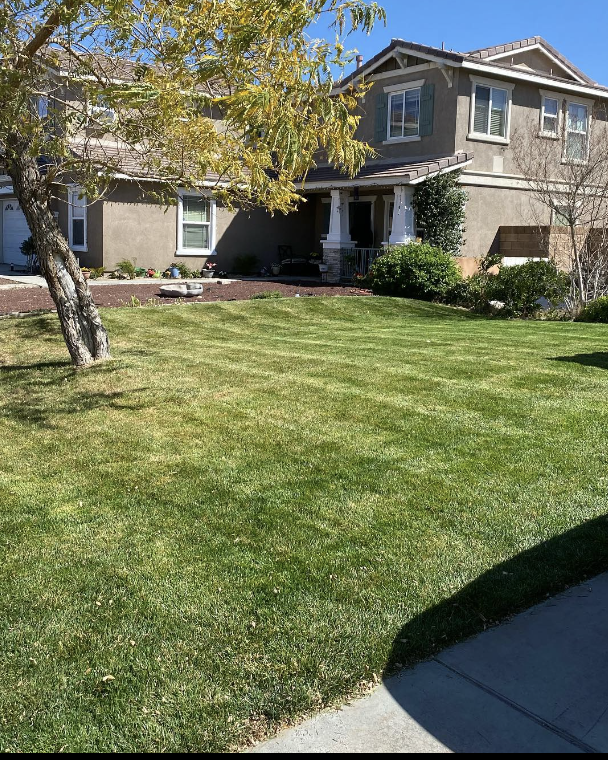 Professional lawn maintenance by Yard Butlers AV