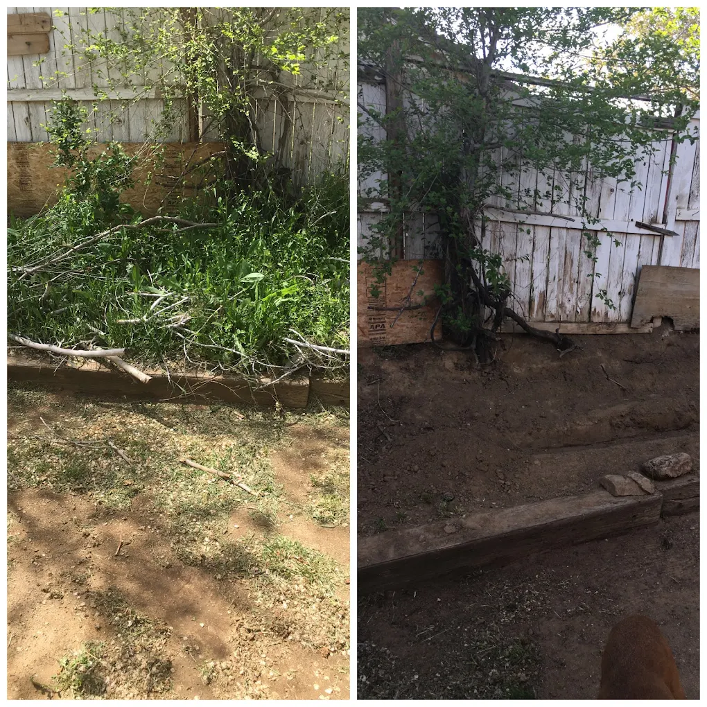 Before and after vegetation clearing